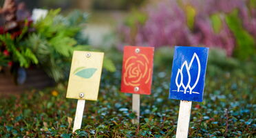 Friedhofsgärtnerei Otte Bremen am Friedhof Riensberg