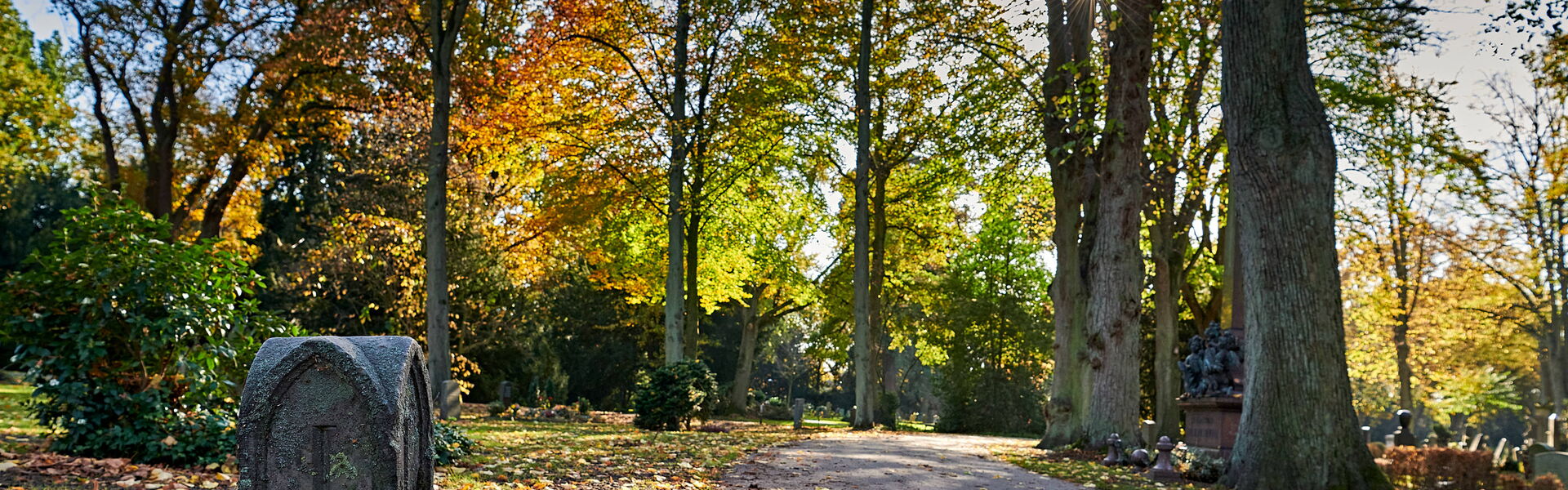 Friedhofsgärtnerei Otte Bremen am Friedhof Riensberg